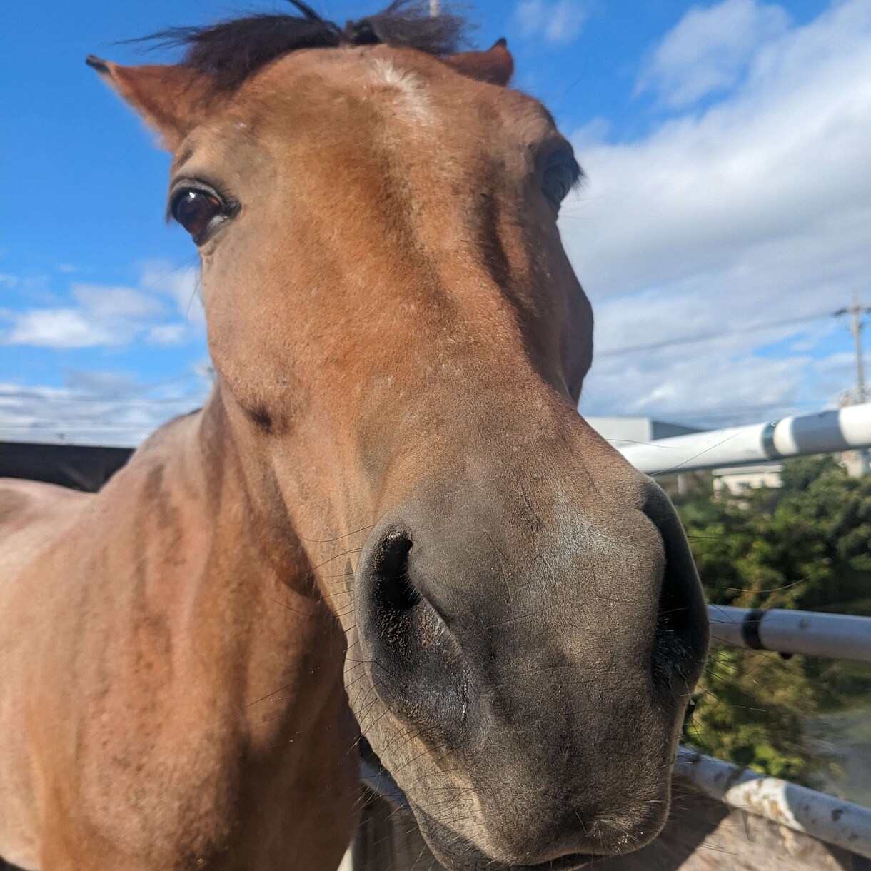仕事や職場の人間関係のお悩みお聞きします 仕事が辛い、人間関係の悩み、精神科勤務12年の私がお聞きます イメージ10