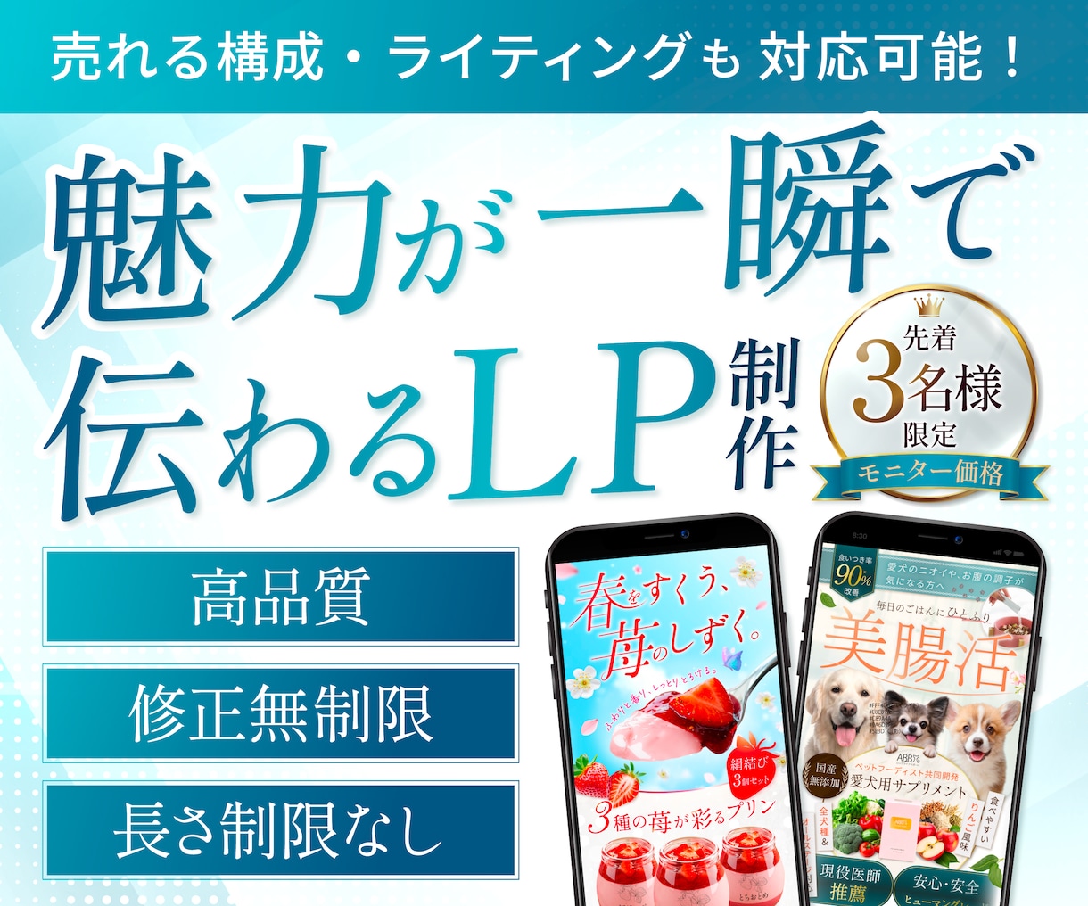 ３件限定･:*+.モニター価格でLP制作します 一瞬で魅力が伝わる世界観設計で売れるLPに！ イメージ1