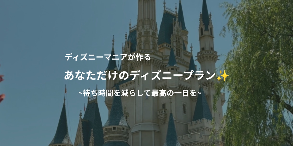 120%満喫！専用のディズニープランを作成します どの世代も楽しめるプランを提案いたします！不安も解消します！ イメージ1