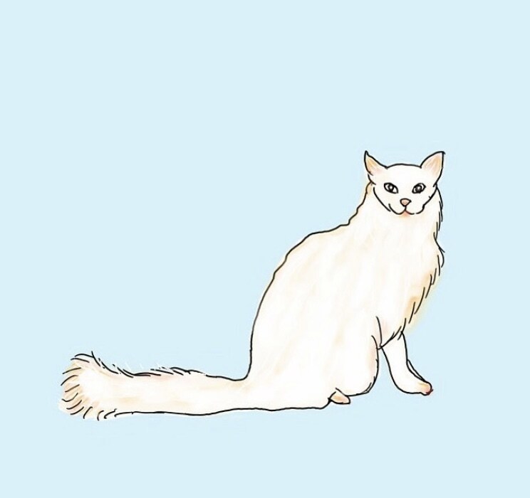 大切な家族(ペット)のイラスト描きます /オプションで印刷対応も承ります☺︎ イメージ2