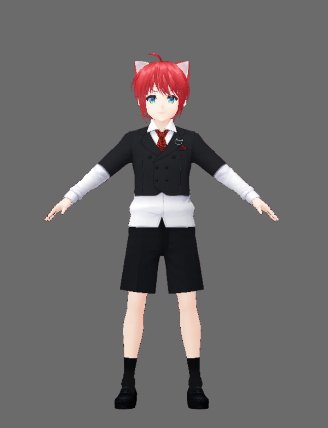 VRM(Vtuber など)モデル制作いたします Vroidで3DモデルVtuberやうちのこ制作します！ イメージ8