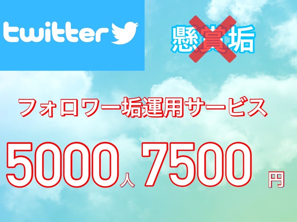 Twitterフォロワー増加5000人～増加します 先着5名様限定価格！7500円で垢運用して引き渡します！