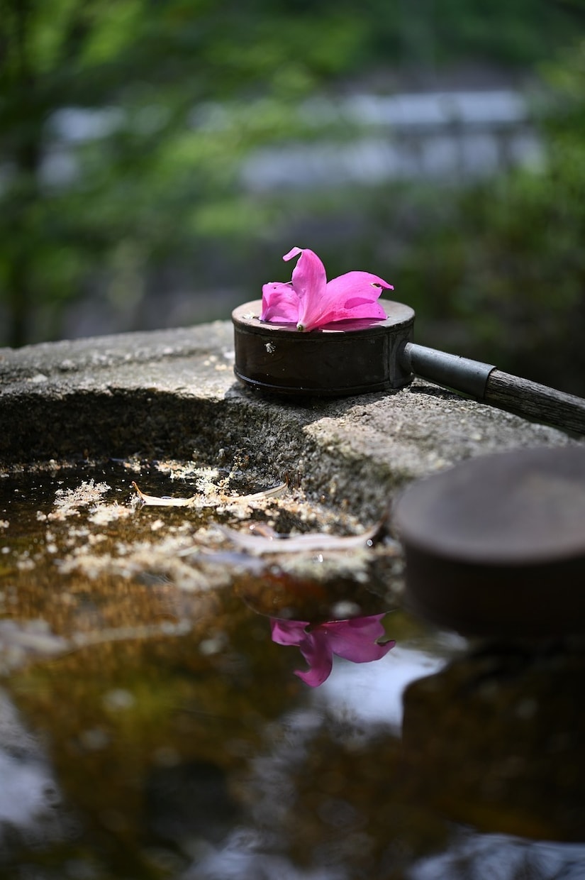 過去世で1番ご縁のあった神社•神様をお教えします 過去世からの神様と再び縁を繋ぐ　行動する事で変わる霊視　占い イメージ9