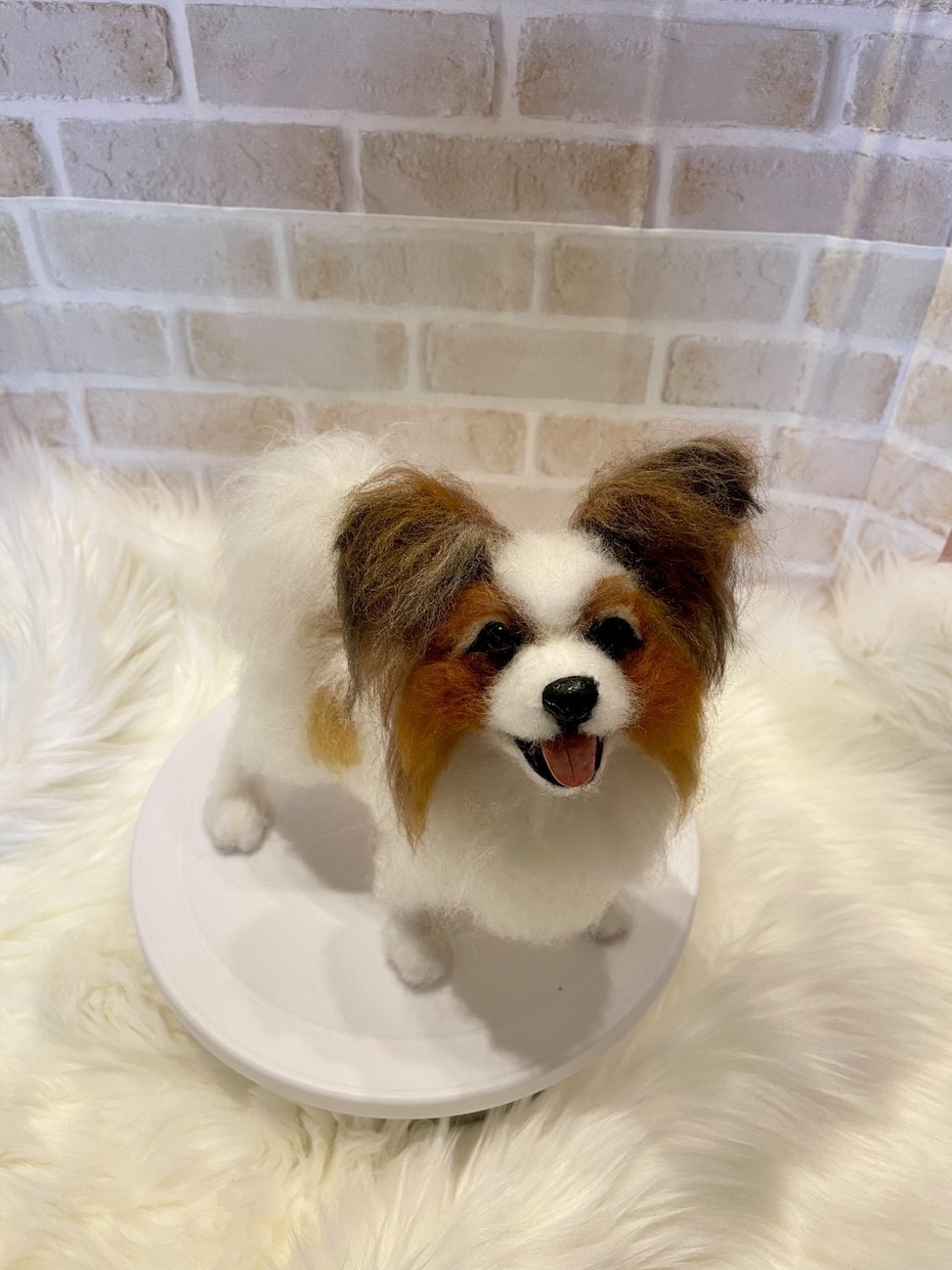 愛犬のうちの子オーダーお作りします もう一度会いたい愛犬を羊毛フェルトでお迎えしませんか？ イメージ5