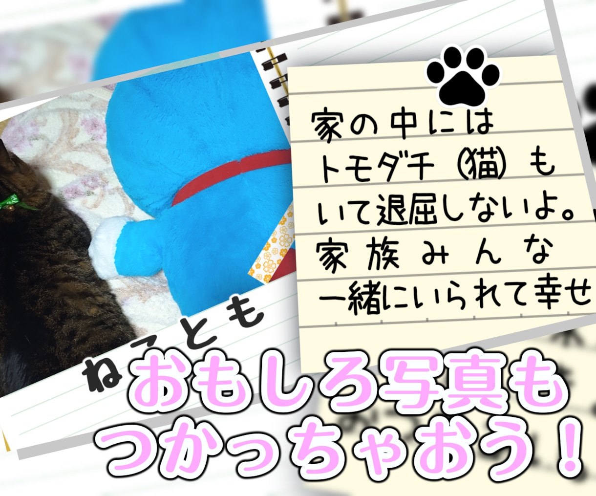 大好きなペットちゃんの説明書（動画）製作します ♪　ペットが好き好き♪　飼い主様のインタビューをもとに作成！ イメージ4