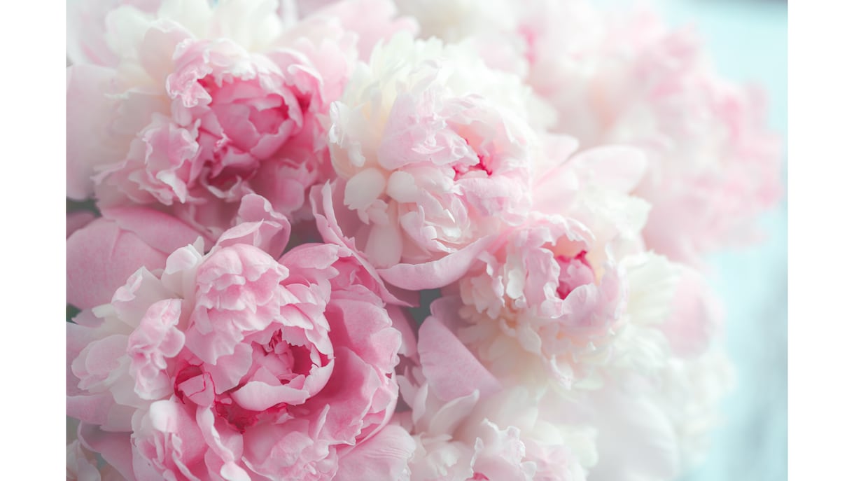 1人で悩んでいる家族関係のお話を共感で聴きます 誰にも言えない家族の悩み…数秘術と安心の傾聴で心を軽くします イメージ6