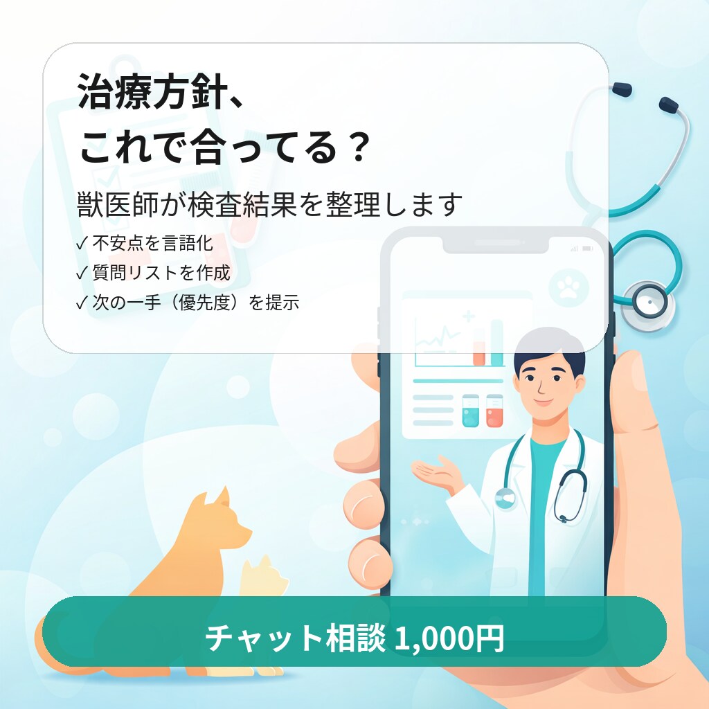 獣医師が検査結果・治療方針を見直します かかりつけで聞きにくい疑問を整理します イメージ2
