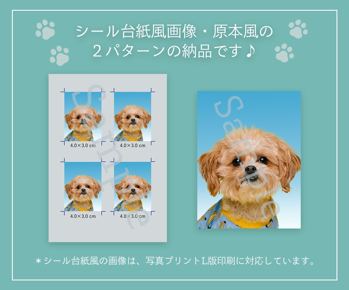 ペットの画像を証明写真風に加工いたします 大切なペットを愛おしすぎる証明写真風に♪ イメージ2
