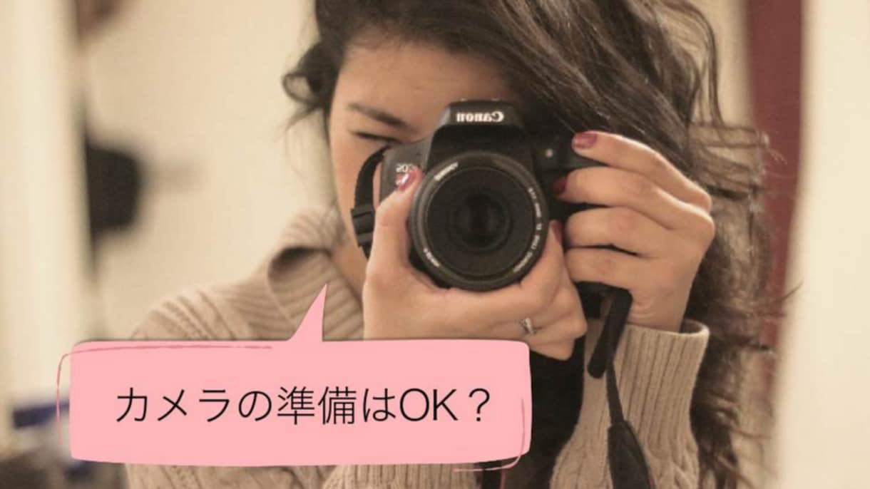 モニター募集★低価格で結婚式ムービー制作致します 写真・コメント変更無制限 / DVD-Rでのお渡し可 イメージ9