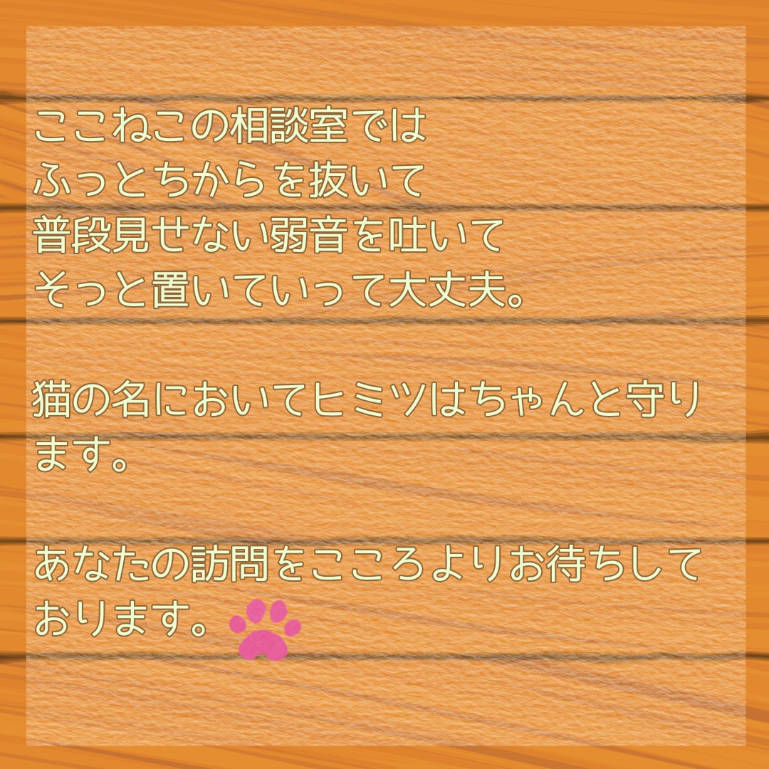 ねこ店長とこころをほどく時間作ります 話す内容がまとまっていなくても大丈夫です♡ イメージ4