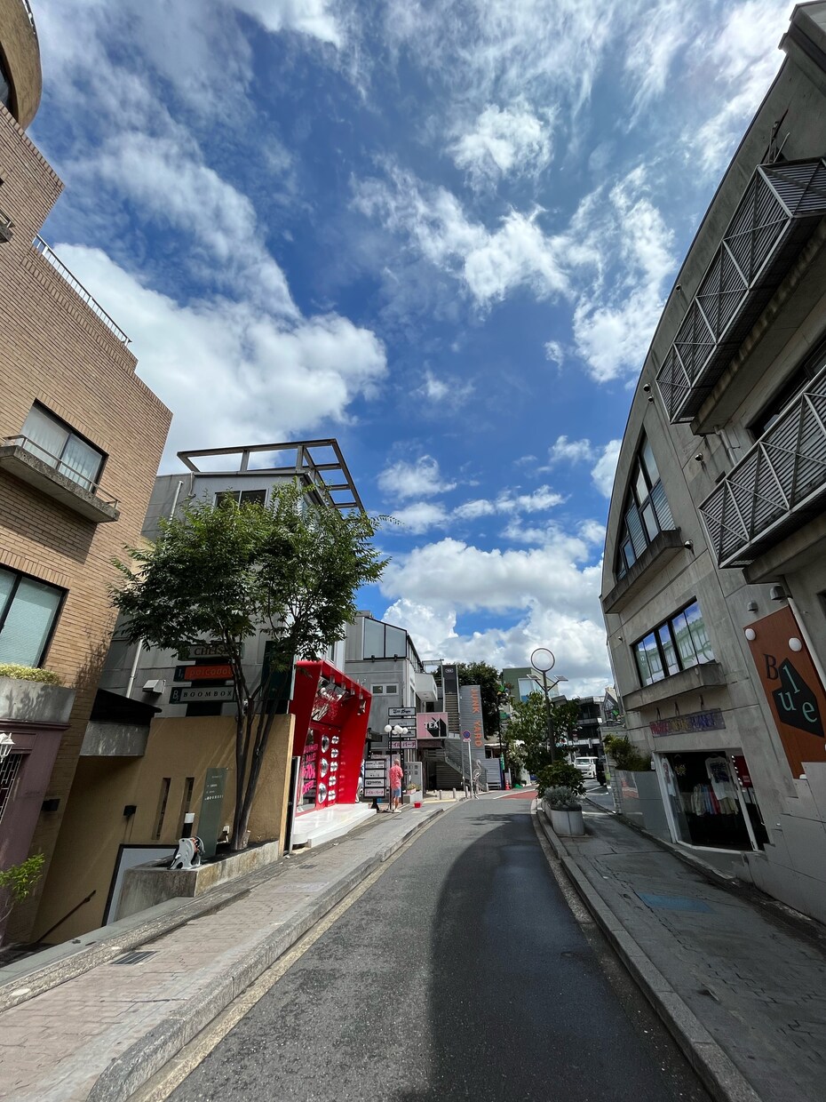 大学生が撮った日常写真を販売させていただきます 大学生ならではの視点で切り取った素朴な日常 イメージ10