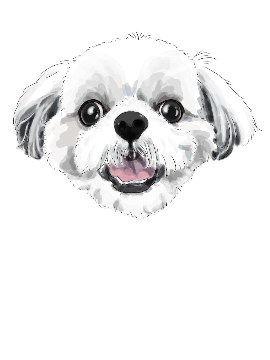 我が家の猫犬さんをイラストにします アイコンや思い出に喜んで頂いてます イメージ5