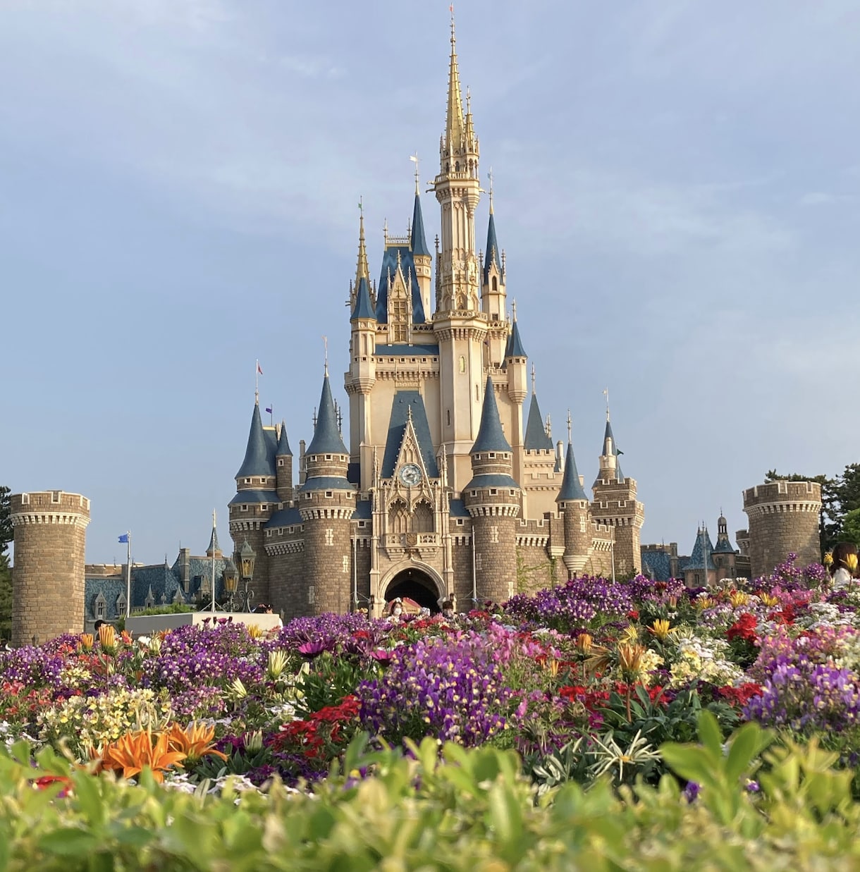 ディズニーの効率的な回り方を教えます 来園回数100回超えの私が効率的なパークの回り方を提案します イメージ1