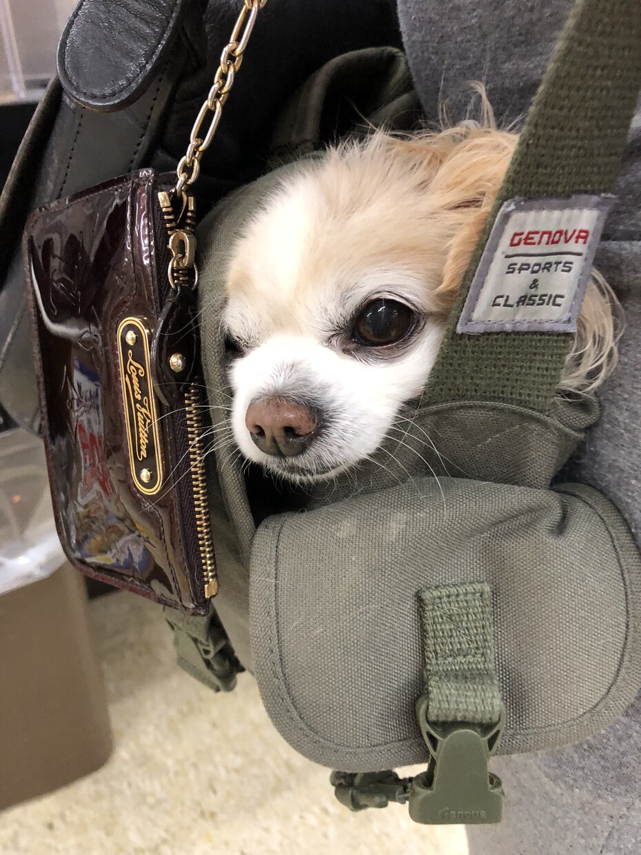 今日あった嫌な事や悩み、暇電全般^_^お話聞きます 人に話してストレス解消！かなりラフに話しますがお許しを！ イメージ1