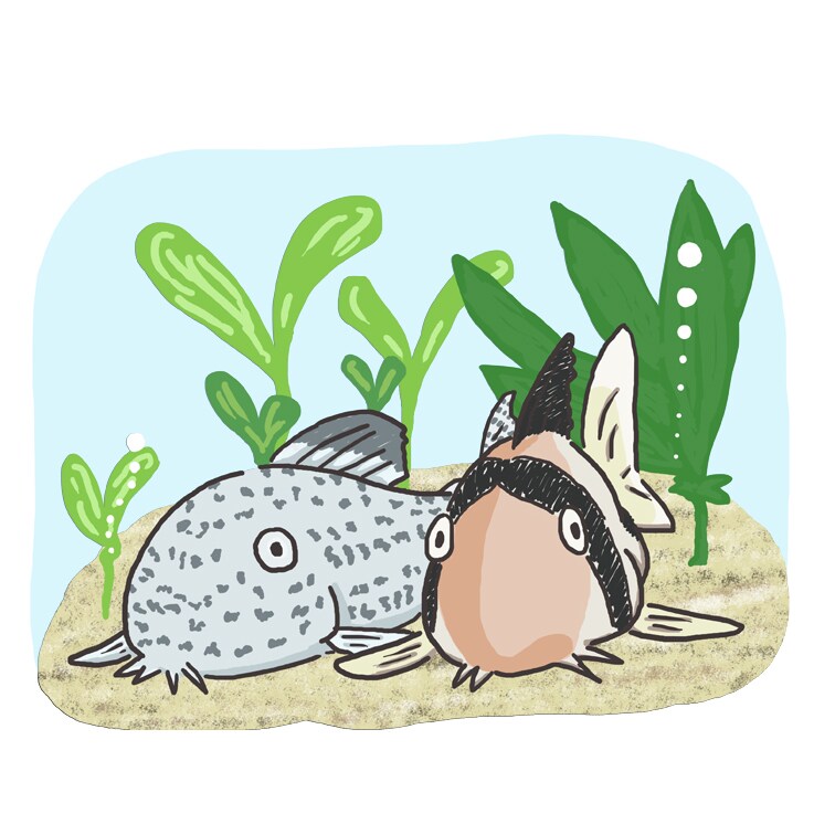 ほんわかテイストの動物・人物その他イラスト描きます パッと見で伝わるシンプルさと可愛さはいかがですか？ イメージ5