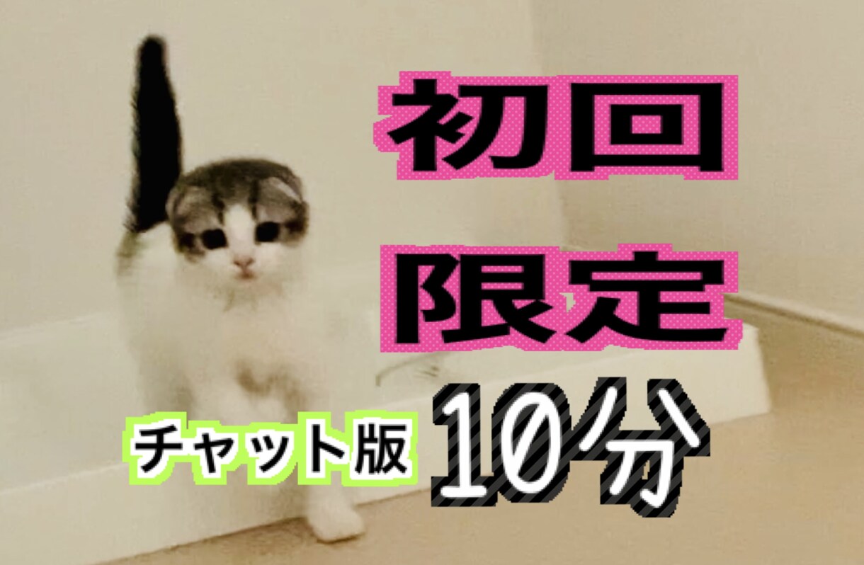 お試し【初回限定】チャットでお話し聞きます /初めてで不安な方はこちらをご利用下さい♪ イメージ1