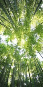 誰かと話したい、愚痴、悩み、何でも聞きます 。今すぐ話がしたい、どんな事でも大丈夫です。 イメージ9