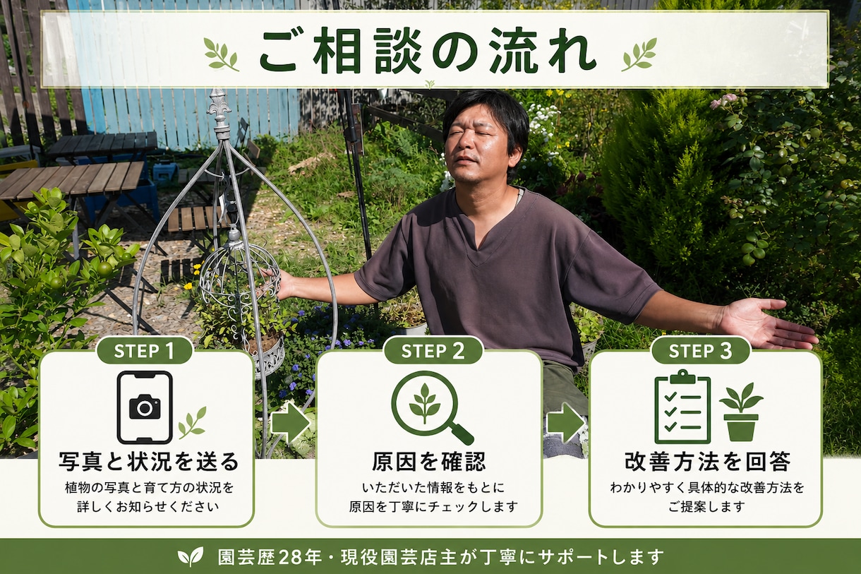 植物の写真から不調の原因と育て方を診断します 現役園芸店主が環境に合う改善方法を提案します イメージ3
