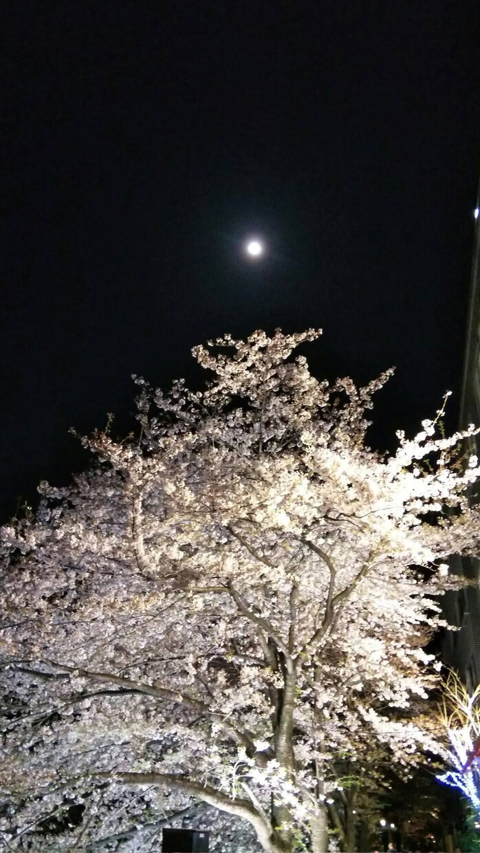 物件・時期・場所の比較／判断の決め手を占います 【引っ越し鑑定を受けられた方専用・後日相談窓口】 イメージ10