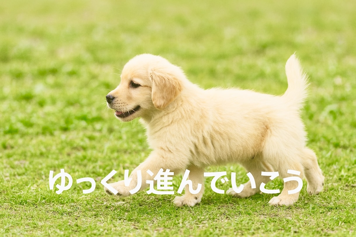 どんなことでも大丈夫。お話・気持ちお聞きします 心の荷物、そっとおろして少し心を軽くしませんか？ イメージ7