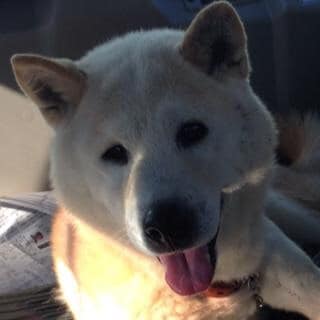 霊視で気になるあの人からのメッセージをお伝えします 〜天国のあの人やペットちゃんからのメッセージ〜 イメージ2