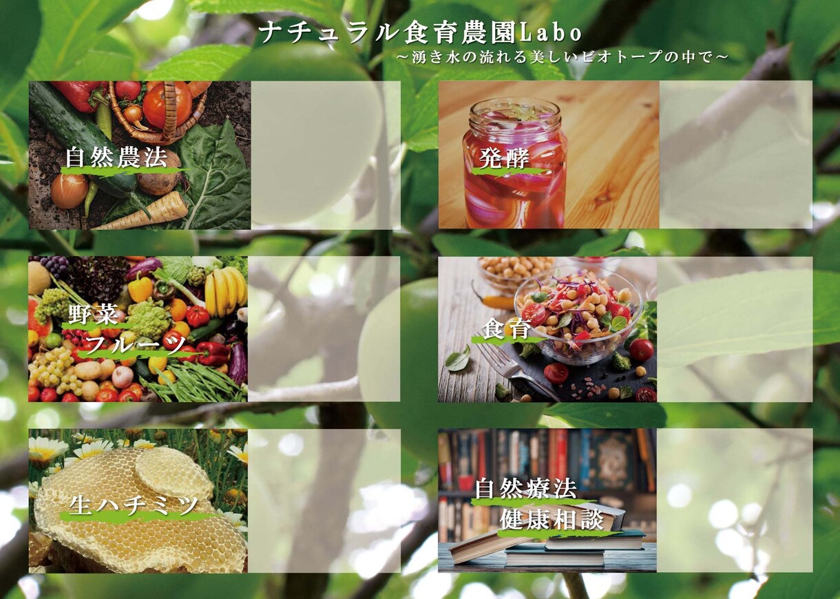 お洒落でキャッチーなチラシを作ります 思わず手に取りたくなるようなお洒落で素敵なデザインに！ イメージ5