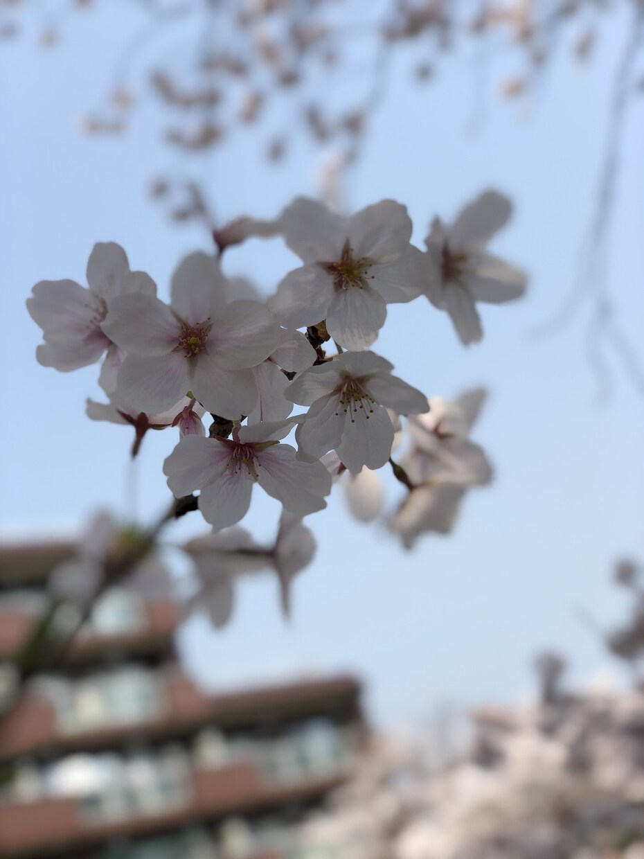 離婚、再婚、相談、愚痴、なんでも聞きます なんでも話してください！！！！！ イメージ1