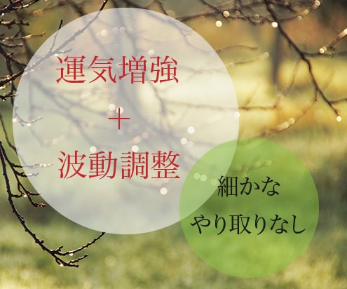 潜在意識にポジティブ思考を10個落とし込みます 【運気増強】細かなやり取りなし！試験前・大事な日の験担ぎに イメージ3