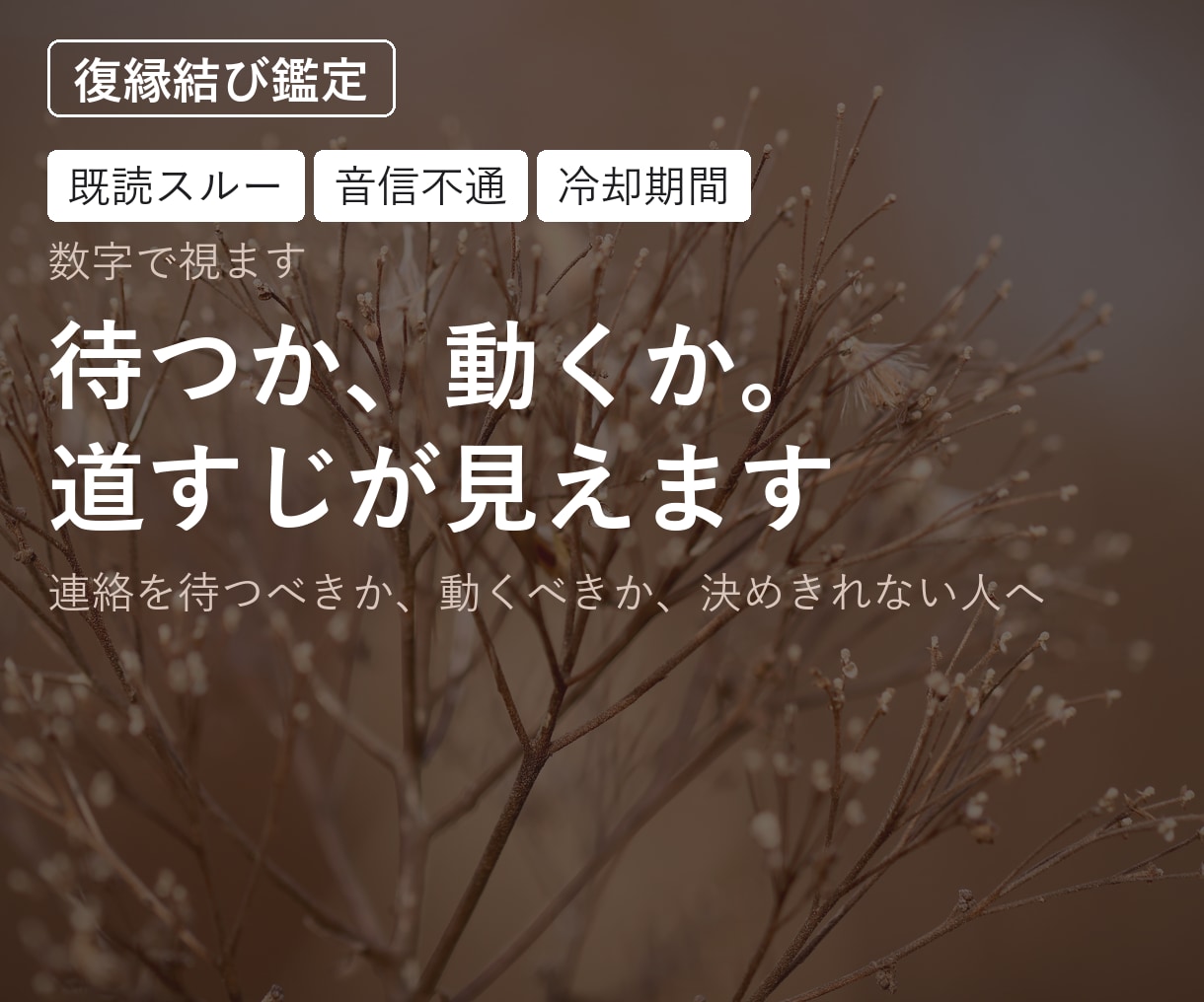 復縁｜待つか、動くか。道すじが見えます 連絡を待つべきか、動くべきか、決めきれない人へ イメージ1