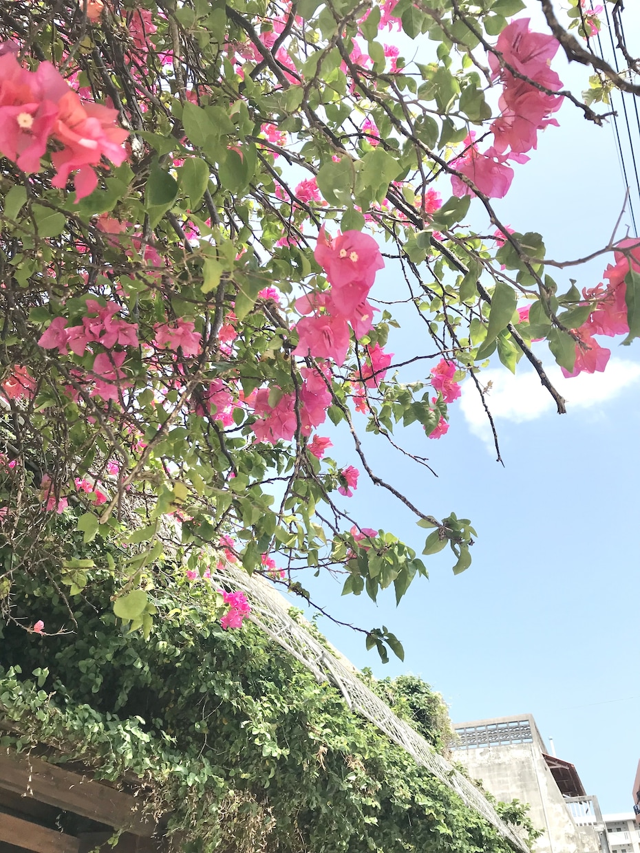 50代大人女性がそっと寄り添いお話を聴きます ただ話を聞いてほしい時　ココナラお姉さんがここにいます イメージ9