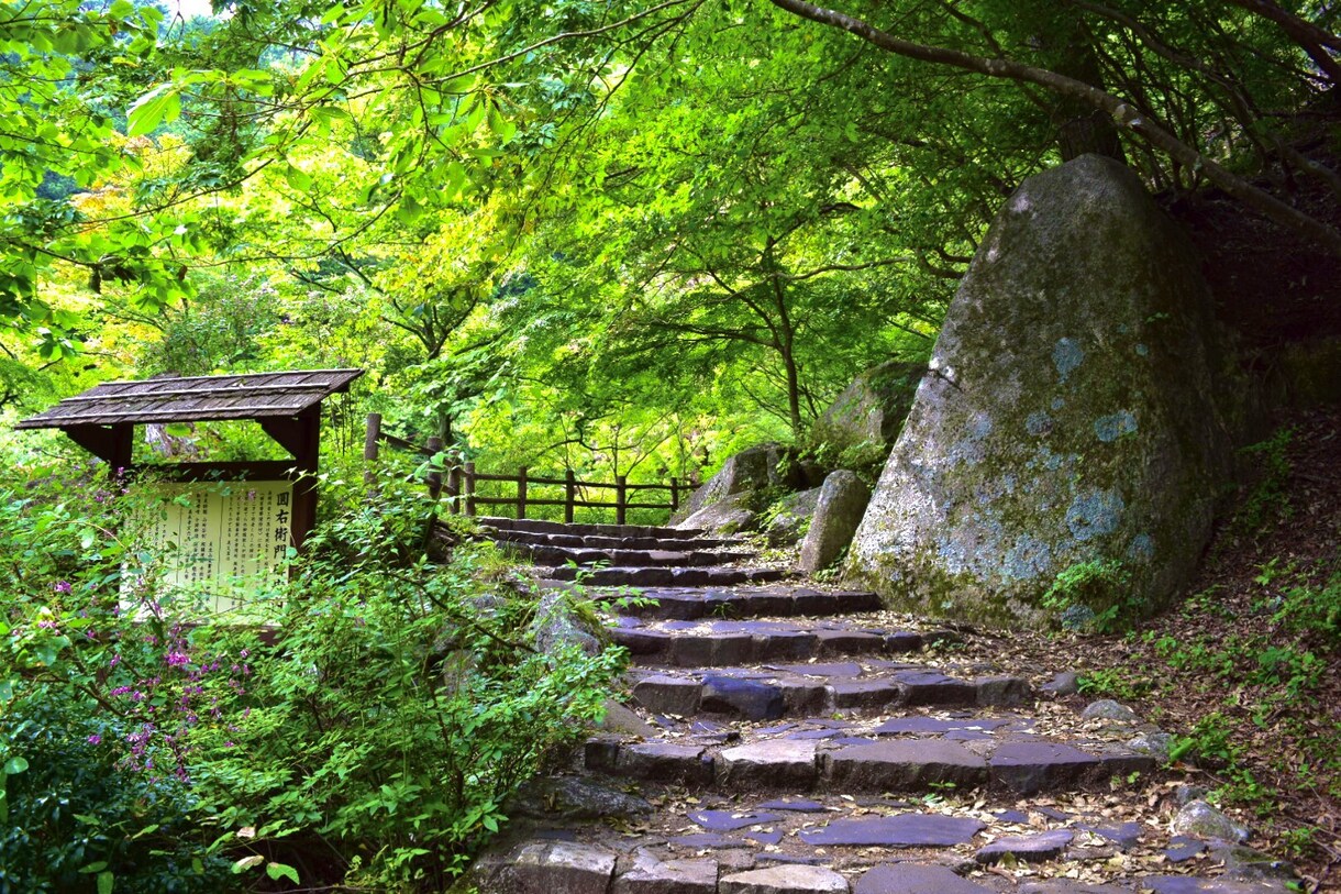 東京・神奈川の撮影承ります スマホで撮るより。。だけどカメラは持ってないそんなあなたに！ イメージ6