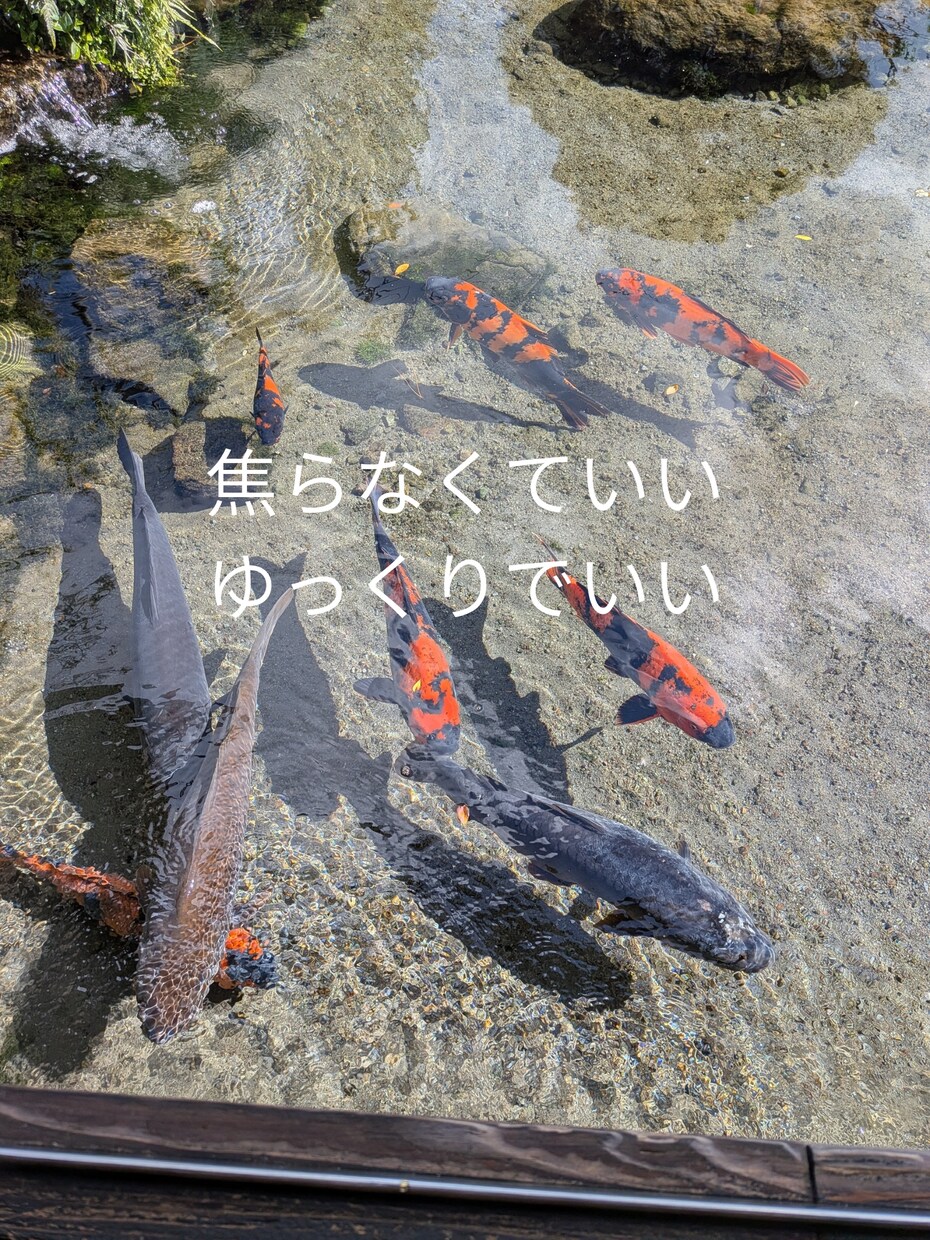 2枚セット写真と言葉をのせるだけ｜で使えます 文字を入れ替えるだけ。迷わず使えるCanvaテンプレです。 イメージ2