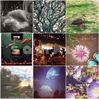 外出できないあなたへ。癒しの画像をお届けいたします 音楽家が撮る〝日々の彩り〟写真。擬似体験して心に潤いを。 イメージ5