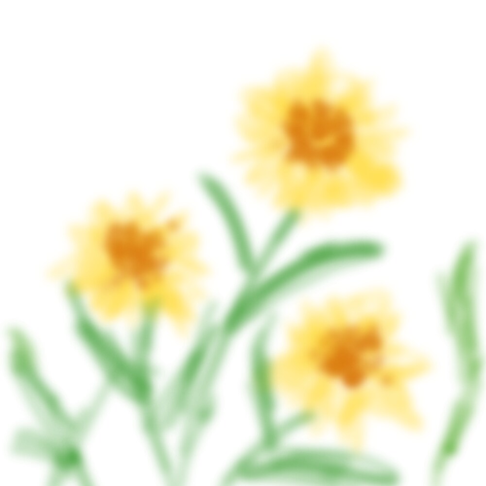 お花や季節をテーマにした絵を描いています お花や季節をテーマにした絵を描いています イメージ1