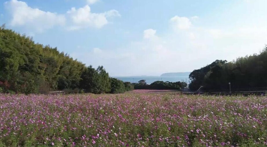 印象に残るドローン空撮動画を撮影します ドローン民間ライセンス取得者がドローンによる空撮を行います。 イメージ4