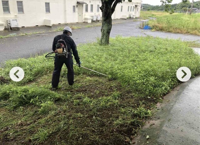 お墓清掃洗浄、ブロック塀洗浄、草刈り樹木処分します 何なりご相談ください、格安にて施工致します。 イメージ3