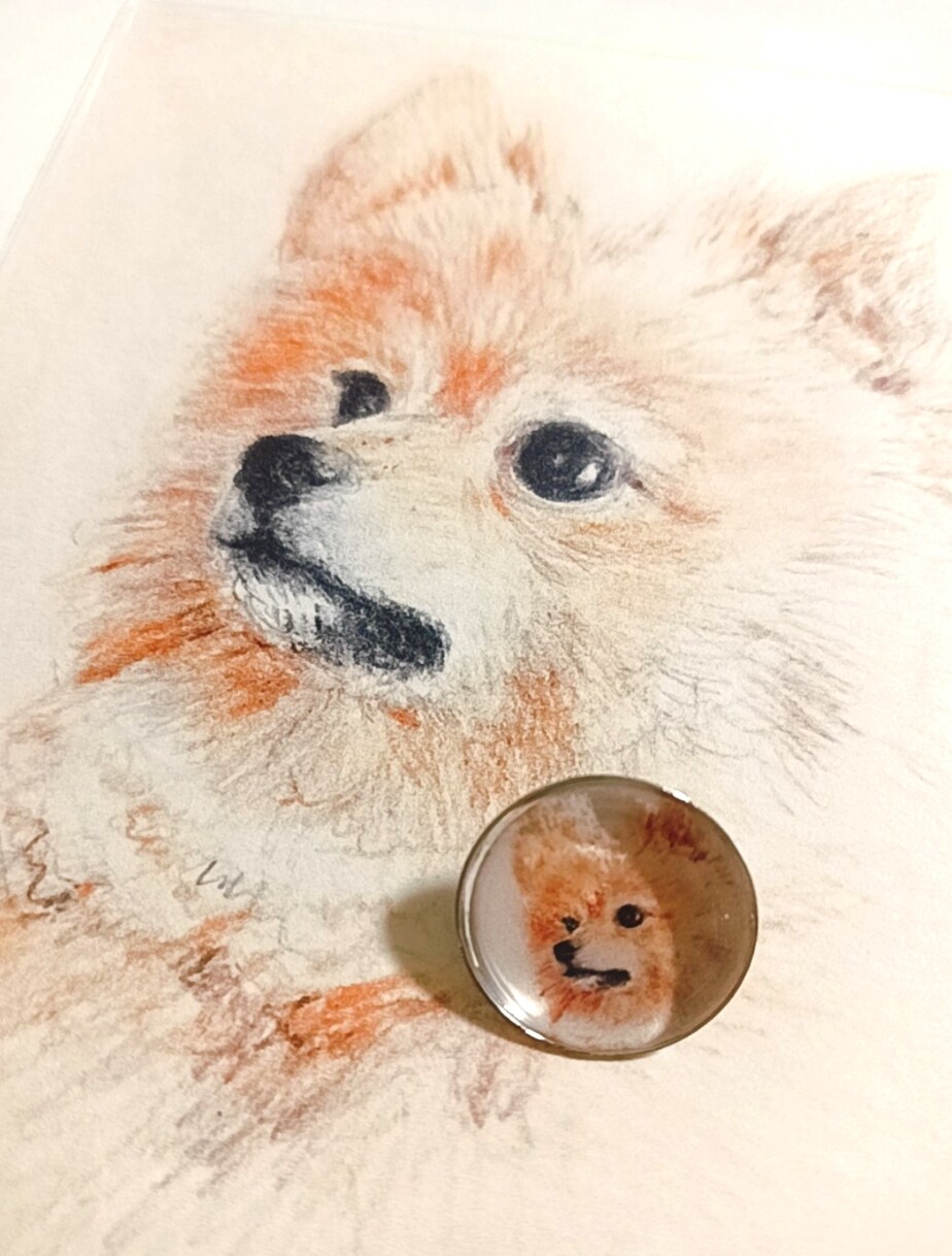 動物や植物などをやさしいタッチで描きます /写真などを元にスケッチ風に仕上げます イメージ2