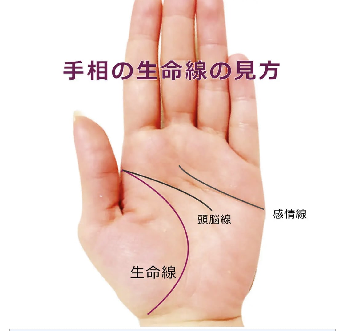 手相♡手の甲、指紋、まるまる視ます 本当の手相占いしたことありますか？ イメージ1