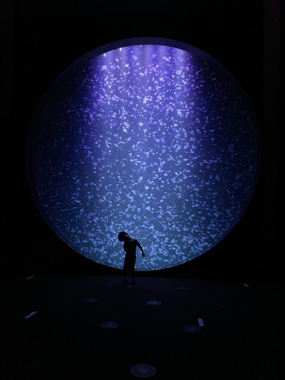 西洋占星術に基づいたコーチングにより夢を実現します 好きなことで生きていくためにすべきことを引き出します イメージ1