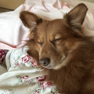 辛いお気持ちを軽く、楽にします 心に寄り添い、あなたが一歩踏み出せるカウンセリング イメージ2