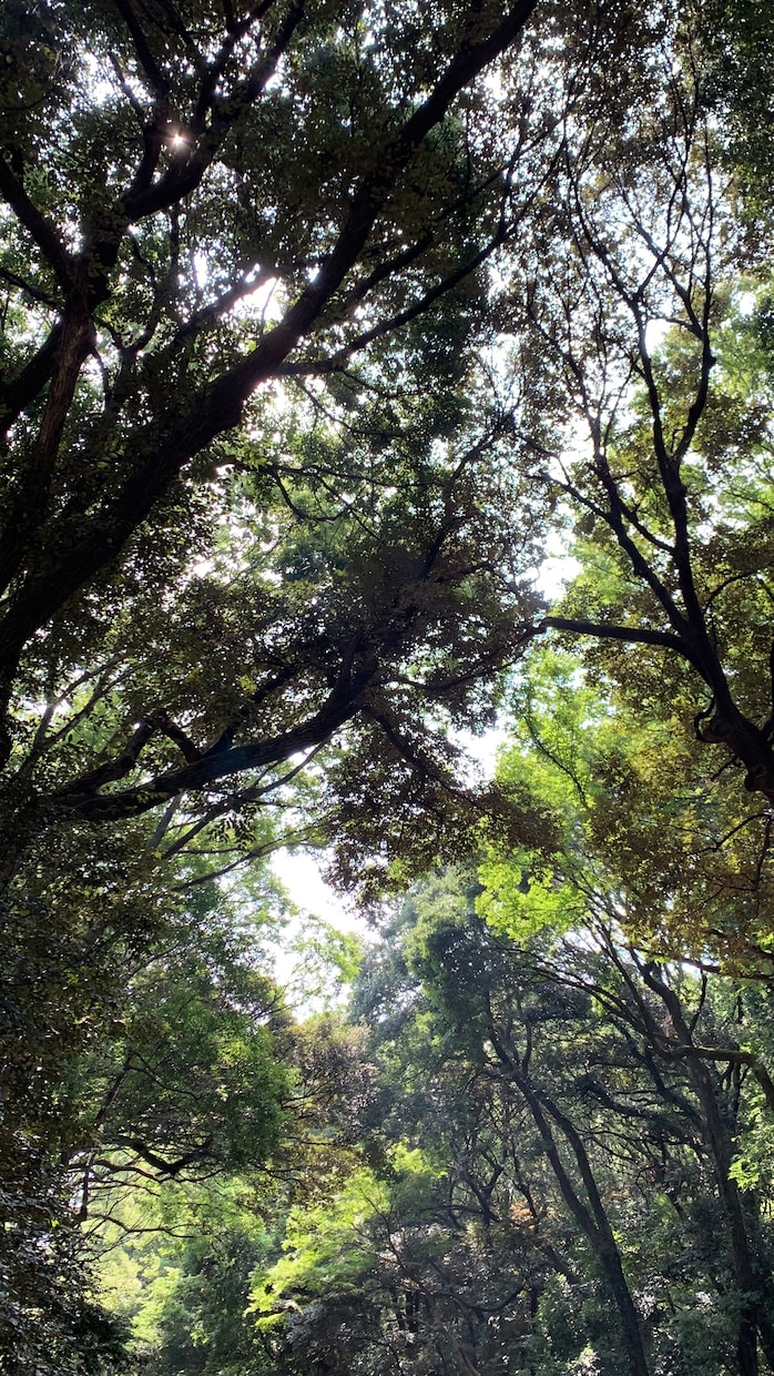 3日間じっくり、生きづらさを紐解くお手伝いします 本音に気づく深堀りで、自己理解・自己受容のサポート イメージ1