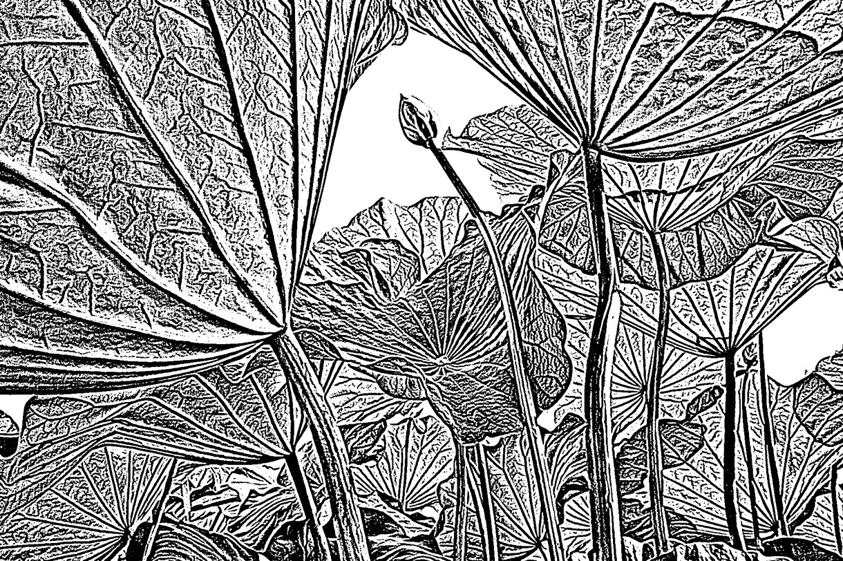 あなたの写真でアート作品を創ります 思い出の詰まったあなたの写真がアート作品になります イメージ8