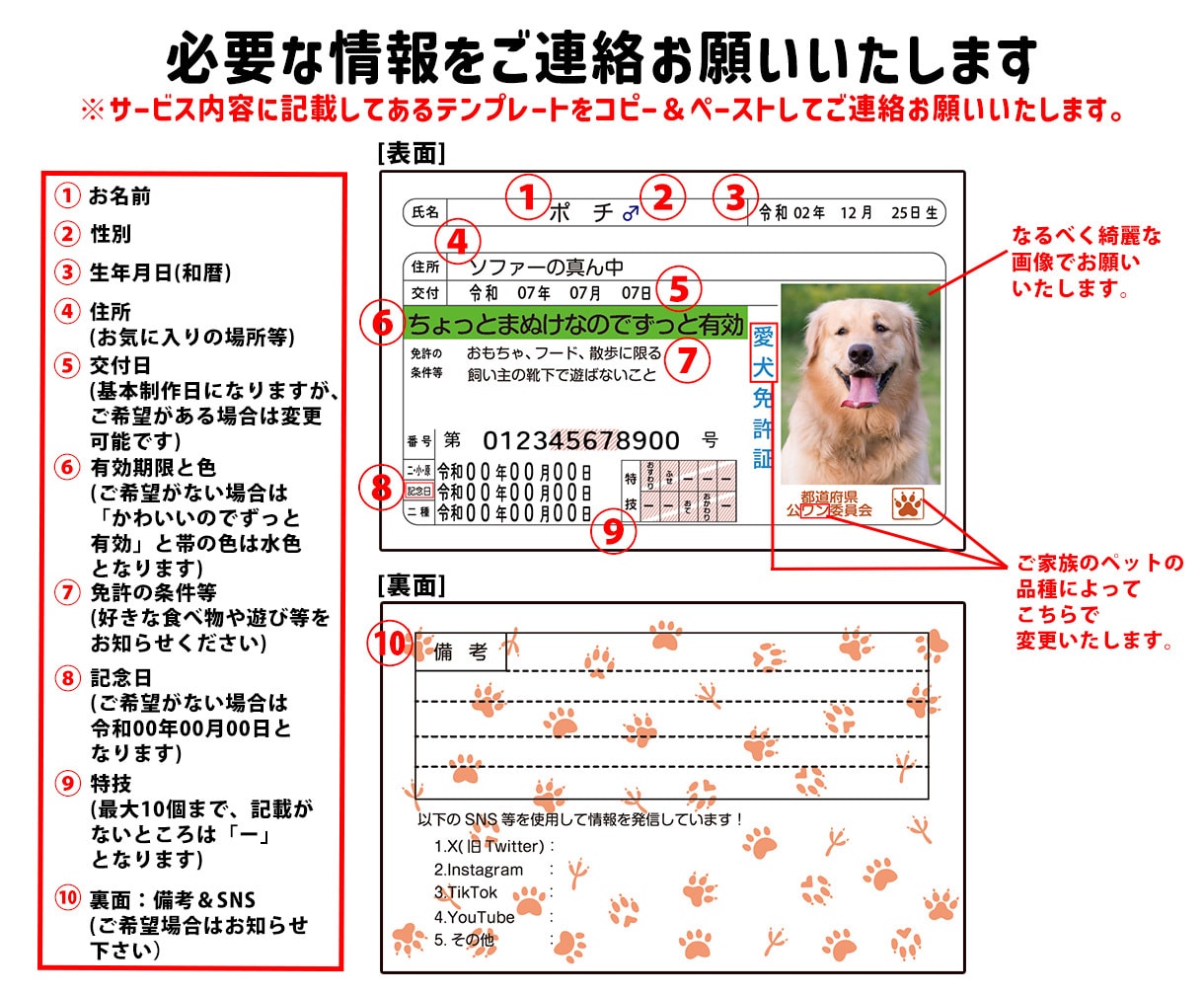 ペット免許証を最短3日で制作します 自社印刷だから安心＆スピード納品可能！ イメージ2