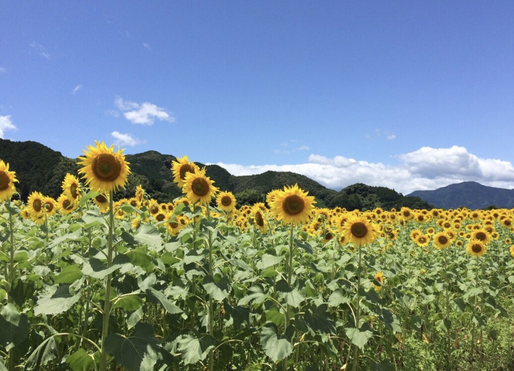 有資格⭐︎聞いて欲しい話したい！受け取ります モヤモヤする！何でこんな事が！？一緒に紐解いていきましょう♪ イメージ4
