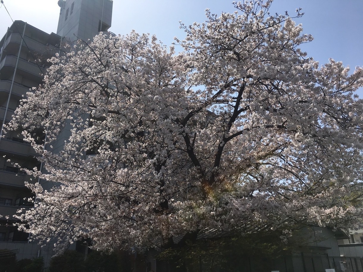大学受験レベルまでの英作文のお手伝いをします 学校・塾から英作文の宿題が！どう書こう…良い例文ないかな？ イメージ2