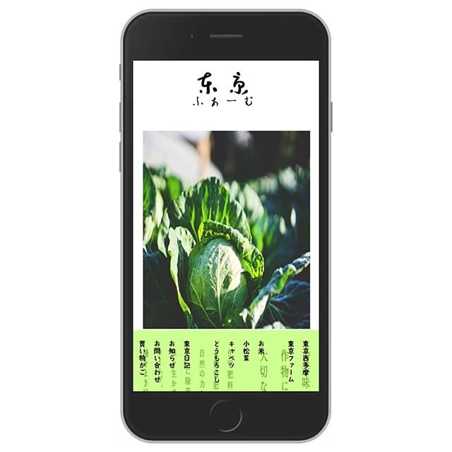 格安！！WordPressでホームページつくります サポート付きの自分で管理するホームページ持ちましょう イメージ2