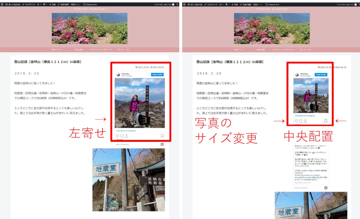 インスタグラムの投稿一覧を設置します サイトの可能性を広げる一助になれればと思います イメージ4