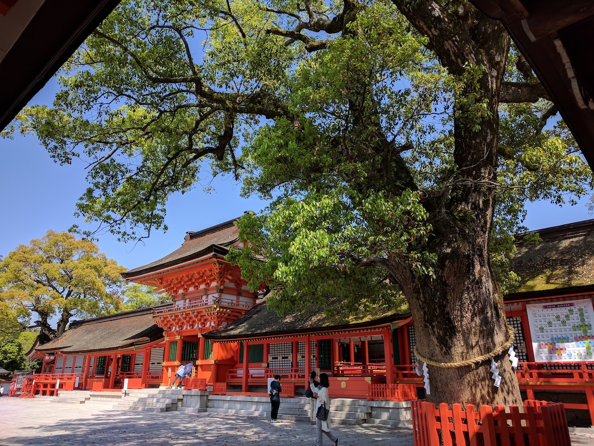 大分県の温泉旅、行ってわかったポイントお話します 日帰り温泉も巡りたい方へ利用方法や雰囲気をお伝えします。 イメージ2