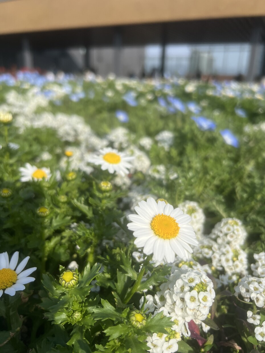 お話聞きます 小さな思いから大きな思いまでお待ちしてます！ イメージ1