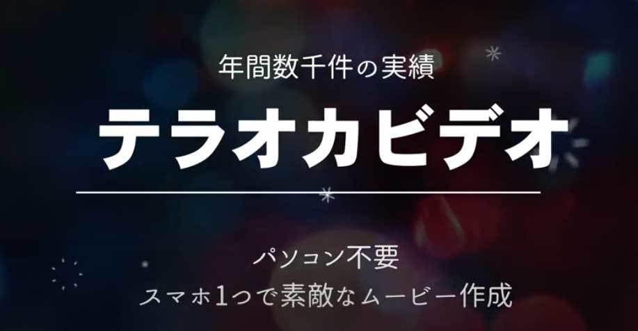 写真枚数無制限でプロフィールムービー作ります 結婚式の映像制作15年目、式場での再生トラブルにも対応します イメージ2